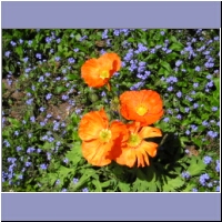 pfingsten2004 084.jpg